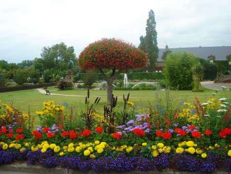 LES FLEURS DE FRANCE
