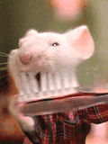 ma sourit se brosse les dents